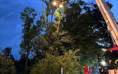 FW-NE: Zwei Unwettereinsätze in Neuss | Unwetter verschont Stadtgebiet weitgehend - Foto: presseportal.de FW-NE: Zwei Unwettereinsätze in Neuss | Unwetter verschont Stadtgebiet weitgehend - Foto: presseportal.de