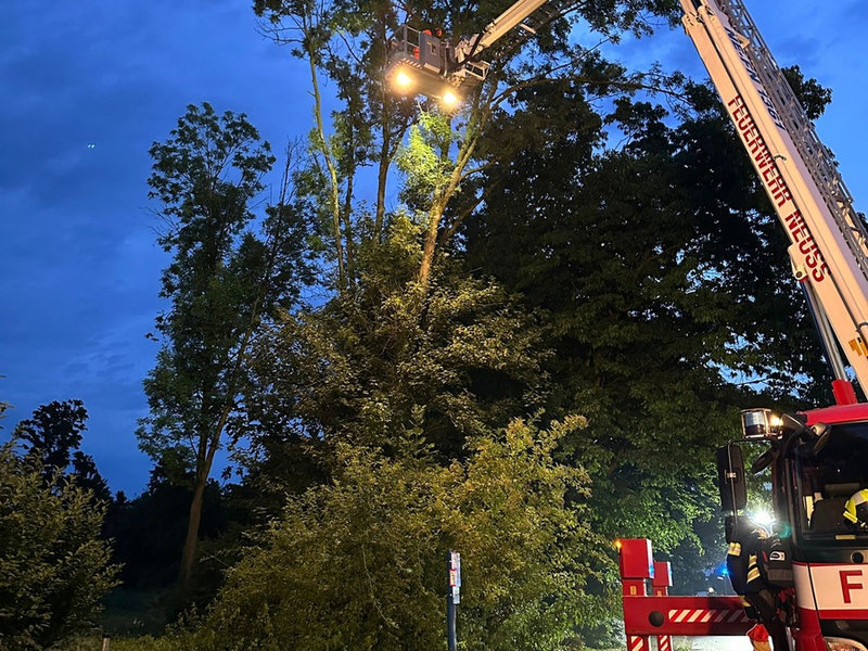 FW-NE: Zwei Unwettereinsätze in Neuss | Unwetter verschont Stadtgebiet weitgehend - Foto: presseportal.de