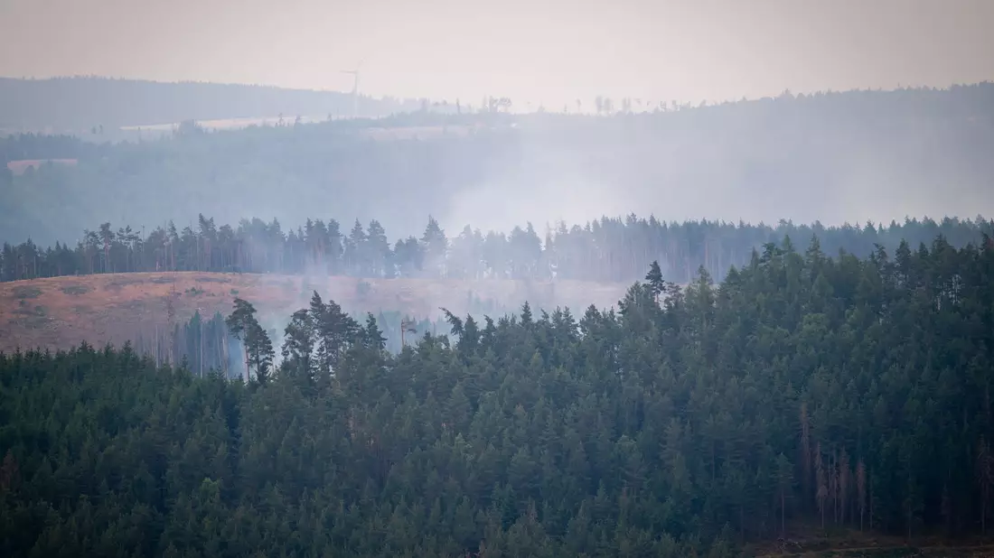 Mindestens 250 Hektar Wald sind in Thüringen von dem Brand betroffen. - Bild: Jacob Schröter/dpa