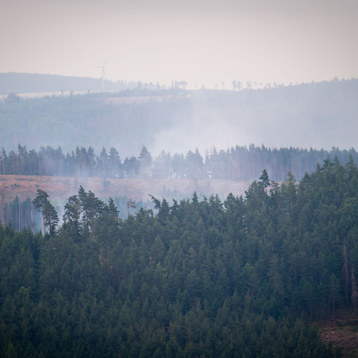 Mindestens 250 Hektar Wald sind in Thüringen von dem Brand betroffen. - Foto: Jacob Schröter/dpa