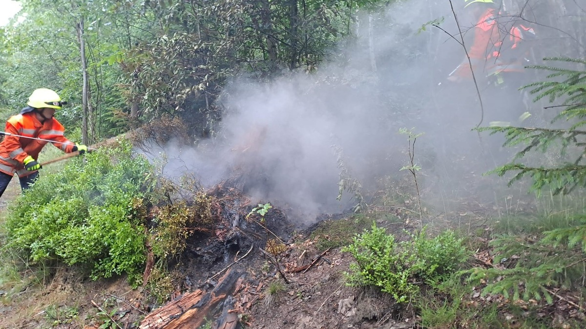 POL-GS: Pressemeldung des PK Oberharz vom 03.07.2025 - Foto: presseportal.de