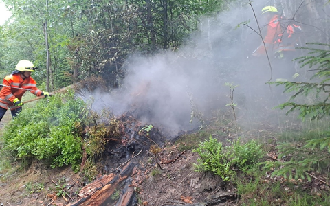 POL-GS: Pressemeldung des PK Oberharz vom 03.07.2025 - Foto: presseportal.de