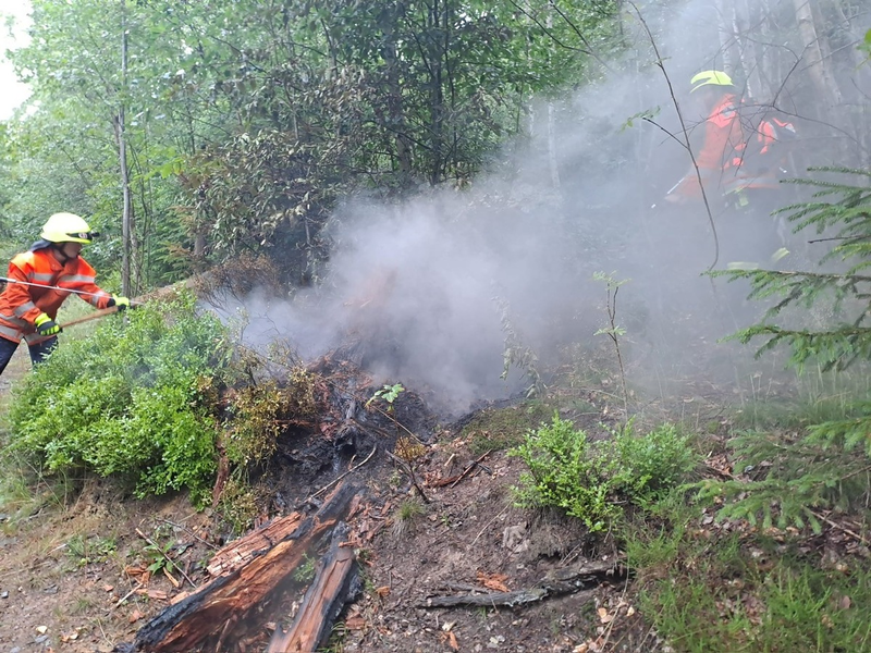 POL-GS: Pressemeldung des PK Oberharz vom 03.07.2025 - Foto: presseportal.de