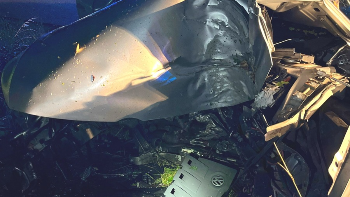 POL-MI: Autofahrer kracht gegen Baum - Foto: presseportal.de