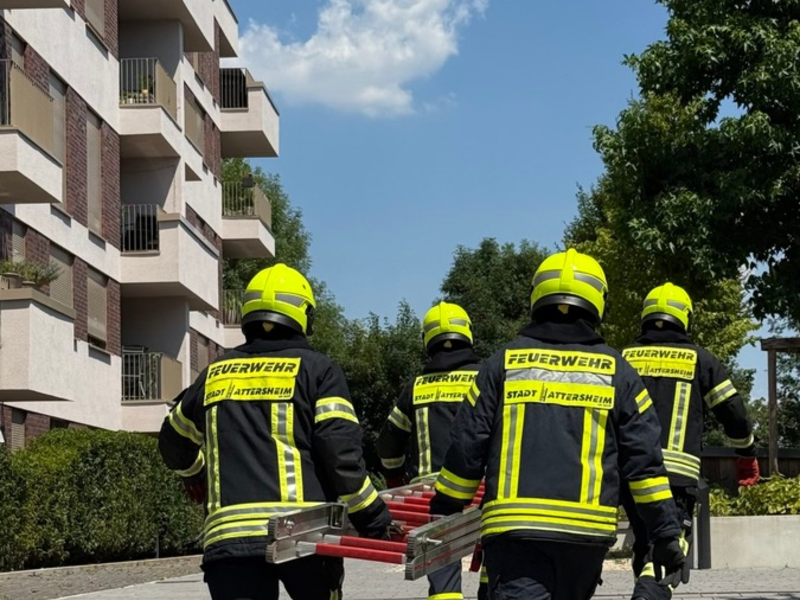 Feuerwehr MTK: Vier Einsätze bei extremer Hitze: Feuerwehr Hattersheim am Main gefordert - Foto: presseportal.de