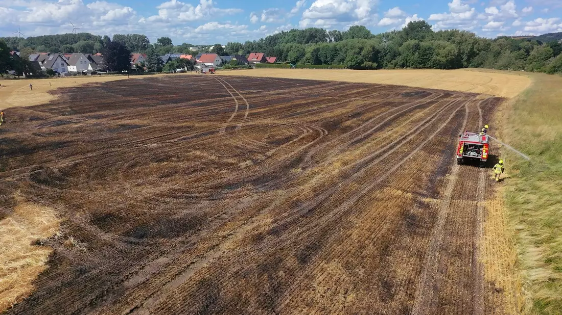 FW-DT: Vegetationsbrand - Übergreifen auf Wald verhindert - Bild: presseportal.de