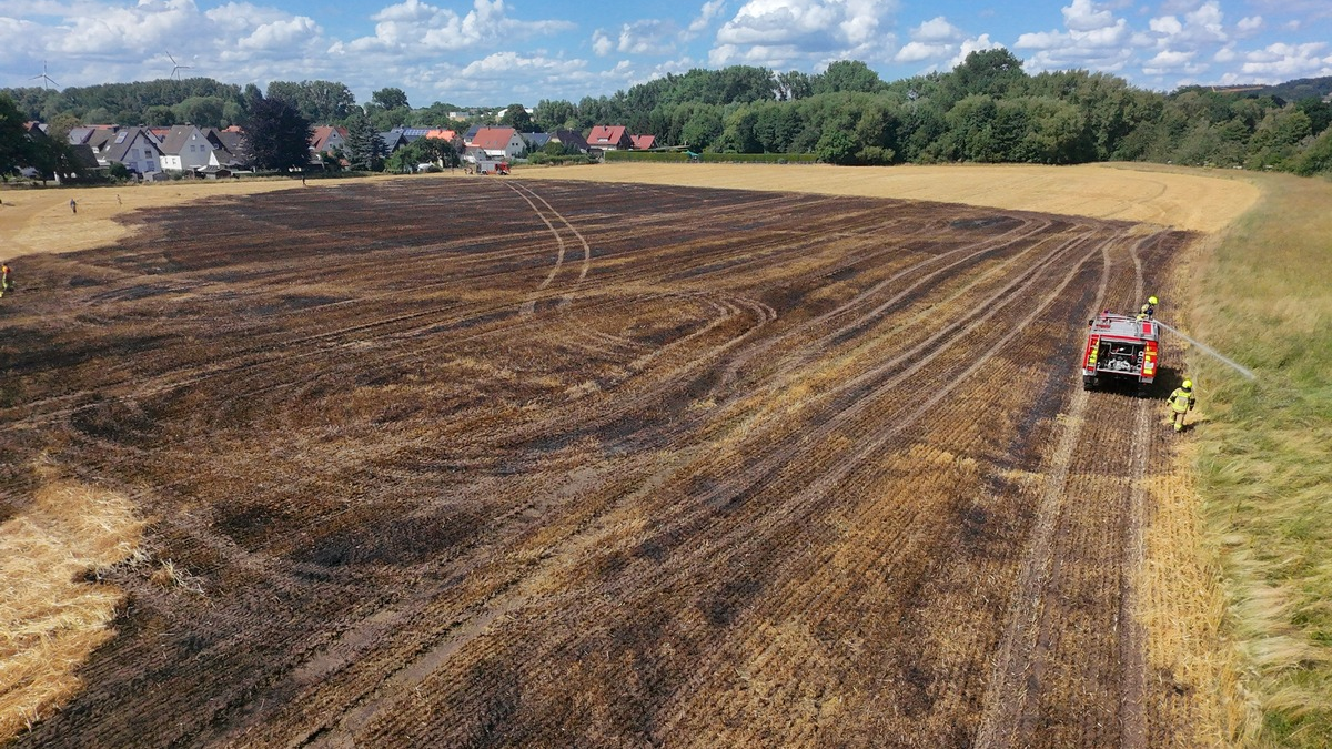 FW-DT: Vegetationsbrand - Übergreifen auf Wald verhindert - Foto: presseportal.de