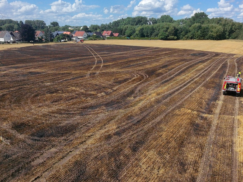 FW-DT: Vegetationsbrand - Übergreifen auf Wald verhindert - Foto: presseportal.de