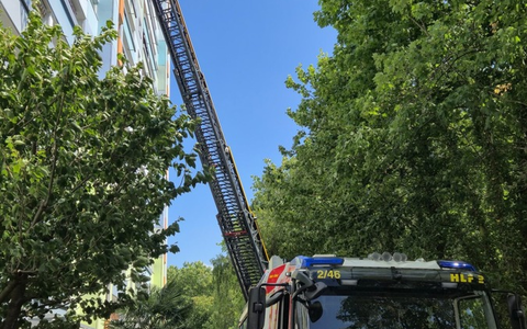 Feuerwehr MTK: Wohnungsbrand in Okrifteler Hochhaus - Mehrere Menschen und Tiere gerettet - Foto: presseportal.de Feuerwehr MTK: Wohnungsbrand in Okrifteler Hochhaus - Mehrere Menschen und Tiere gerettet - Foto: presseportal.de