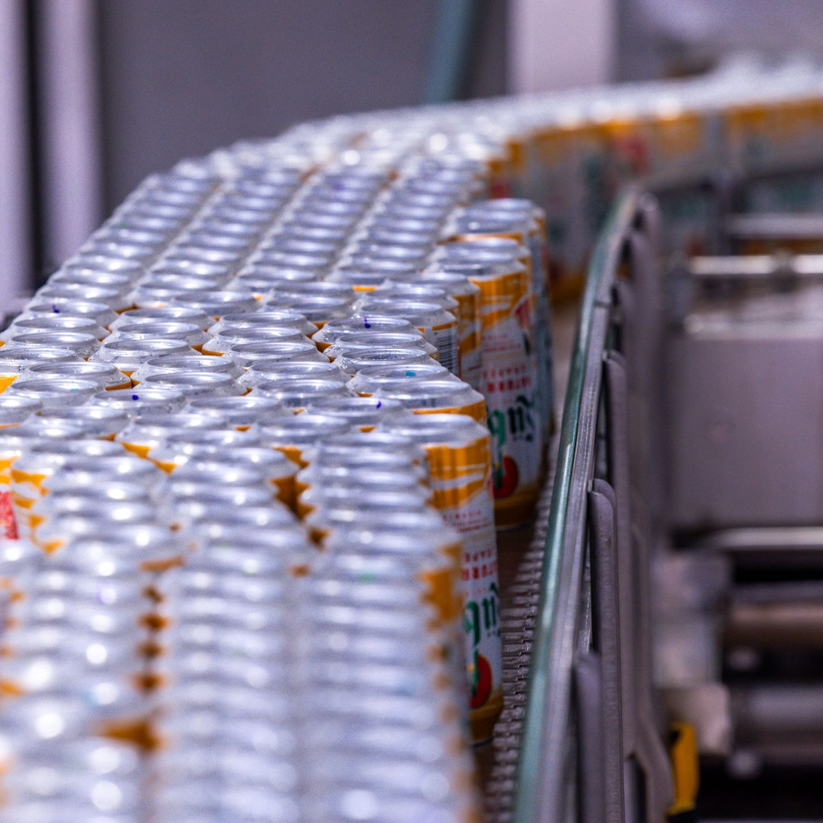 Dosenbier wird wieder häufiger gekauft. (Archivbild) - Foto: Jens Büttner/dpa