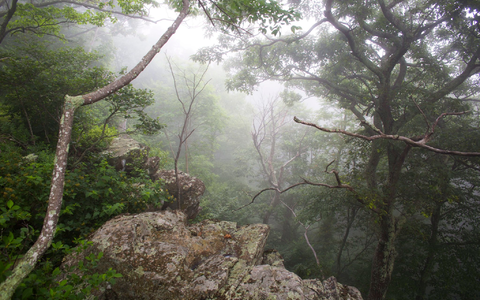 Trump: Nationalparkbesuch wird für ausländische Touristen teurer - Foto: Jim Lo Scalzo/dpa