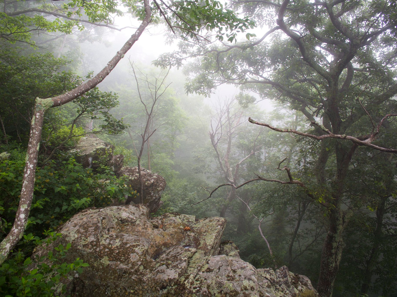 Trump: Nationalparkbesuch wird für ausländische Touristen teurer - Foto: Jim Lo Scalzo/dpa