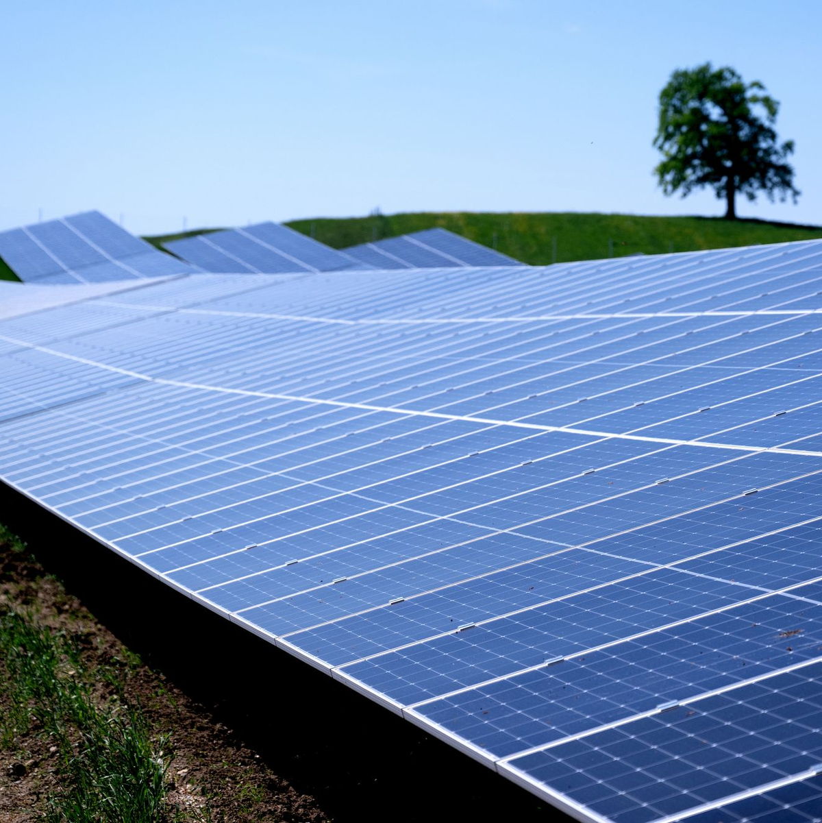 Solarparks wie dieser in der Nähe der Autobahn 95 in Bayern machen knapp ein Drittel der in Deutschland installierten Leistung aus. (Archivbild) - Foto: Sven Hoppe/dpa