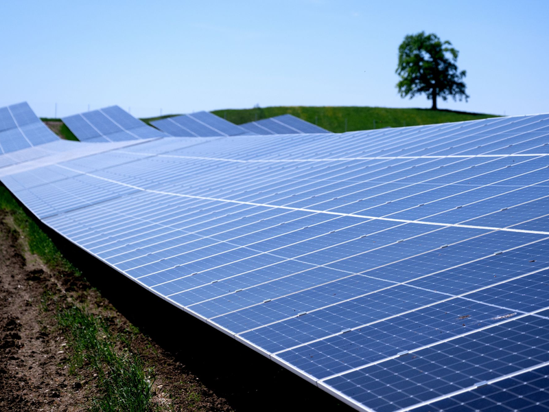 Solarparks wie dieser in der Nähe der Autobahn 95 in Bayern machen knapp ein Drittel der in Deutschland installierten Leistung aus. (Archivbild) - Foto: Sven Hoppe/dpa