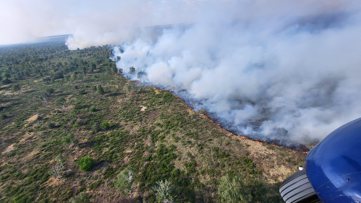 BPOLD 11: Unterstützung der Bundespolizei aus der Luft bei der Brandbekämpfung in der Gohrischheide - Foto: presseportal.de