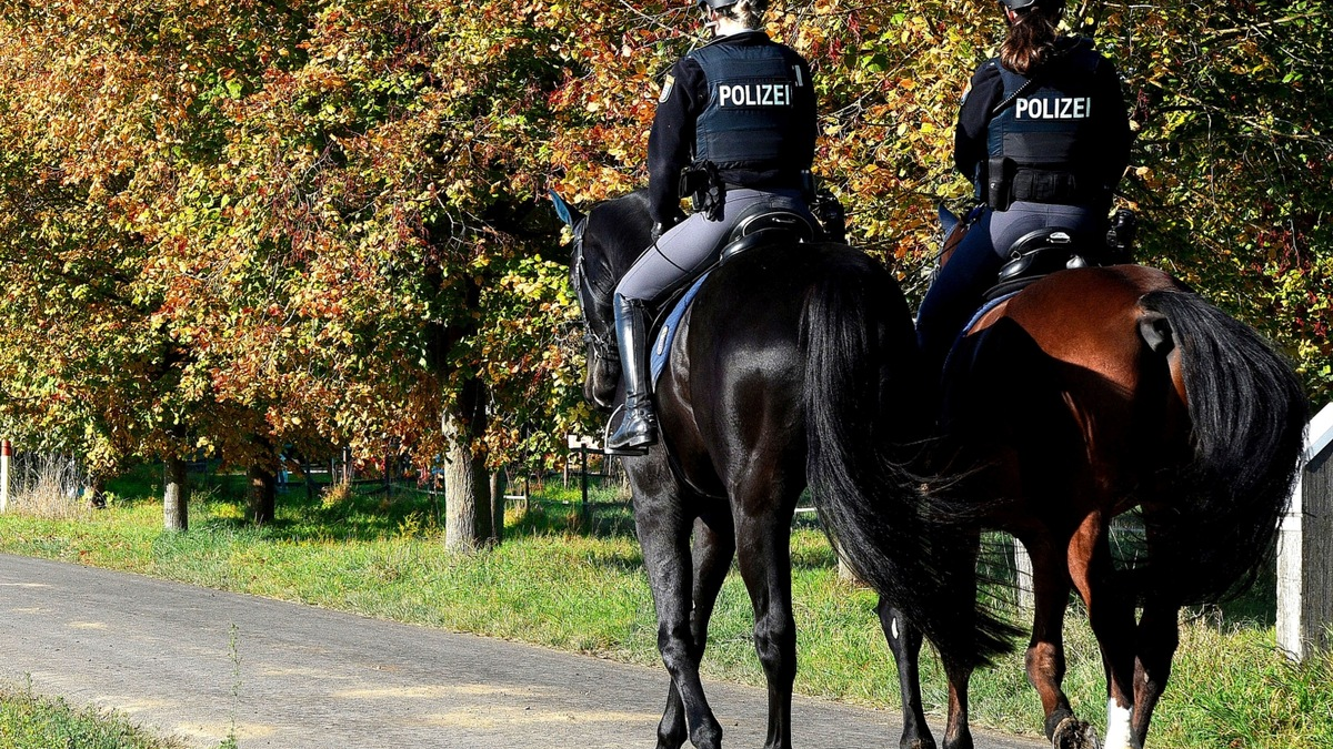 POL-OF: Reiterstaffel auf Wald- und Feldwegen unterwegs - Foto: presseportal.de