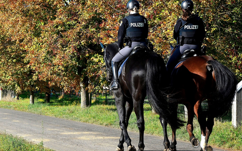 POL-OF: Reiterstaffel auf Wald- und Feldwegen unterwegs - Foto: presseportal.de