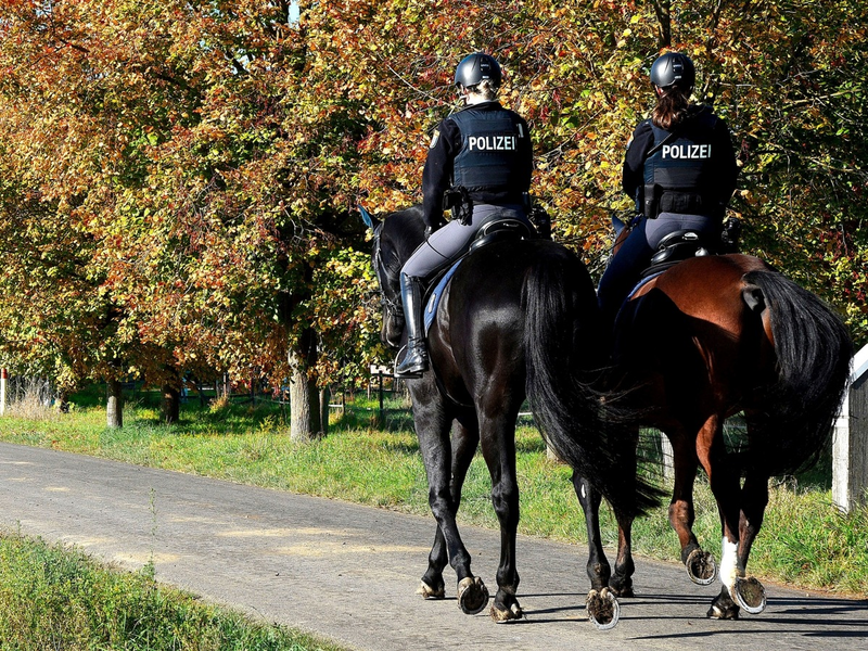 POL-OF: Reiterstaffel auf Wald- und Feldwegen unterwegs - Foto: presseportal.de