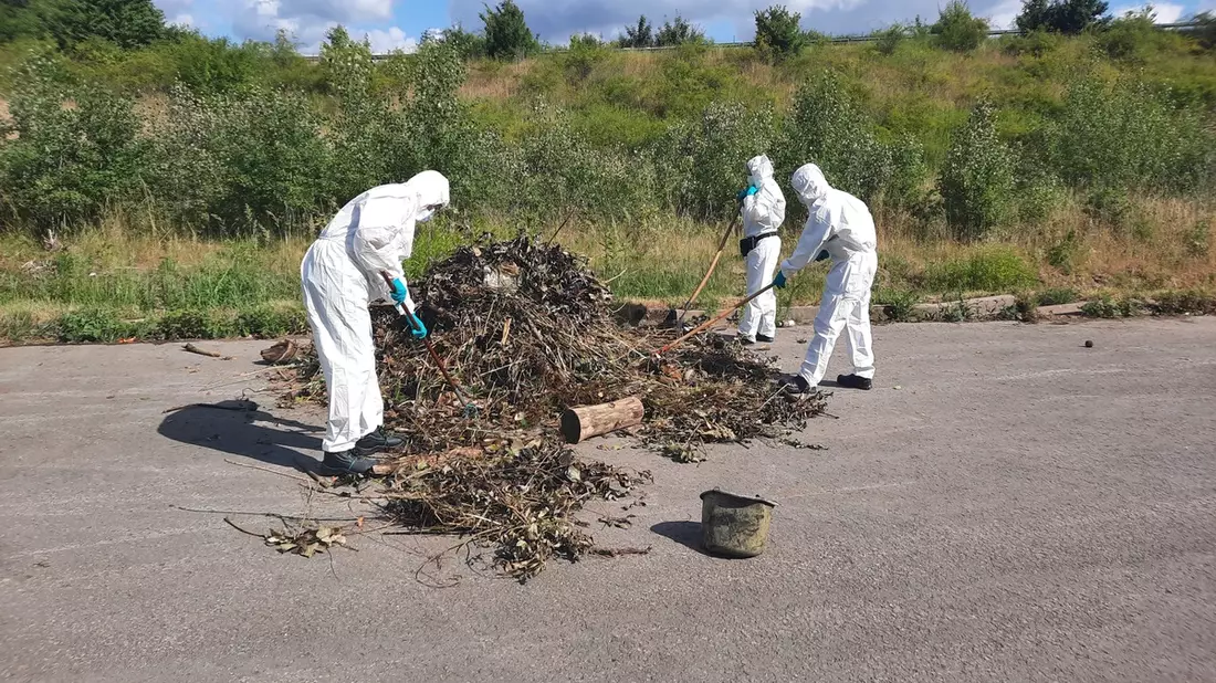 POL-HM: Leichenteil in Weser gefunden - Bild: presseportal.de