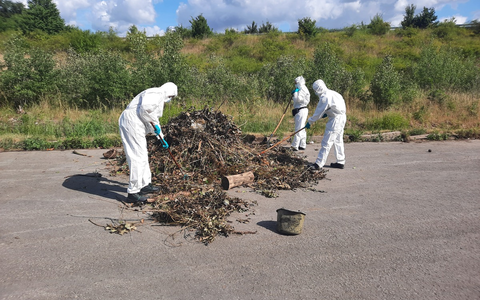 POL-HM: Leichenteil in Weser gefunden - Foto: presseportal.de