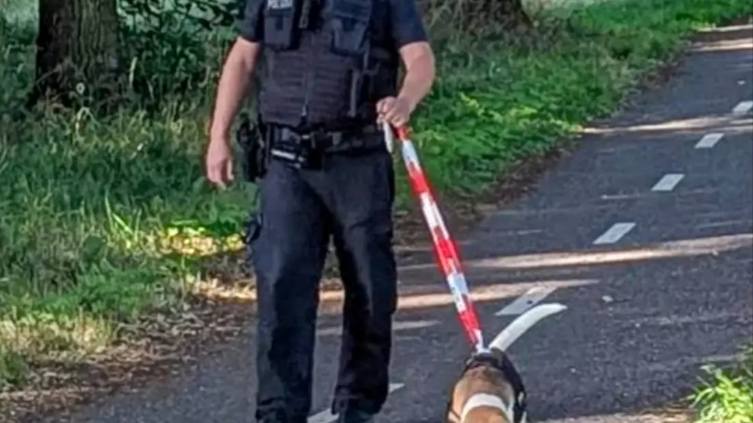 BPOL-BadBentheim: Bundespolizei rettet Hund von Fahrbahn - Bild: presseportal.de