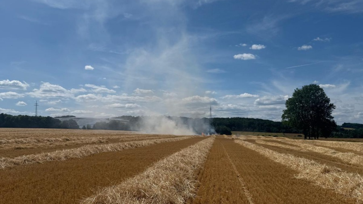 FW-DT: Feuer auf Stoppelfeld - mehrere Einheiten im Einsatz - Foto: presseportal.de