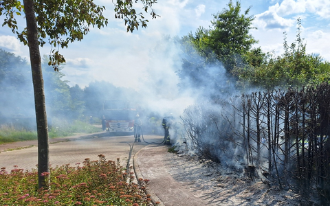FW Bocholt: Heckenbrand in Mussum - Foto: presseportal.de