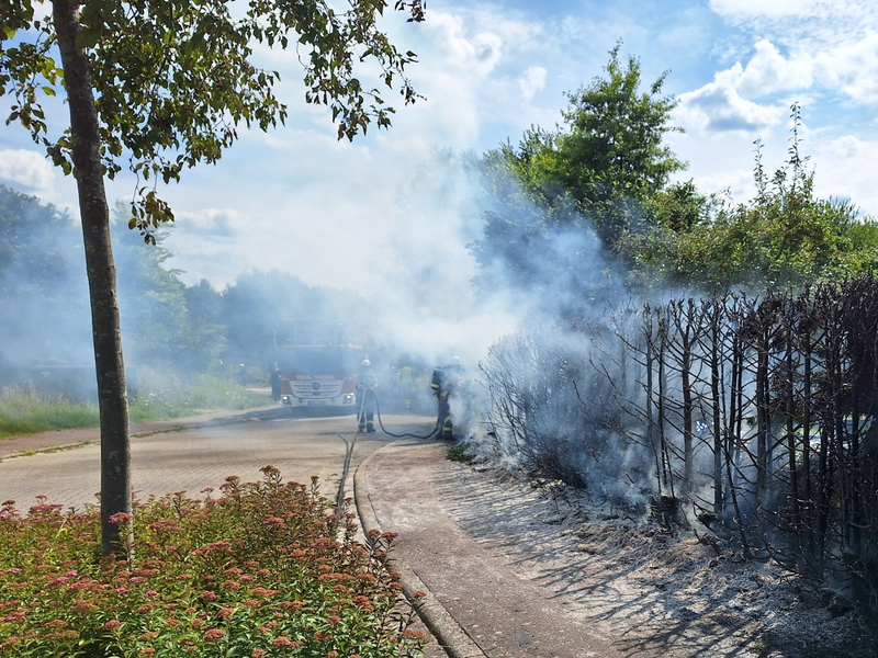 FW Bocholt: Heckenbrand in Mussum - Foto: presseportal.de