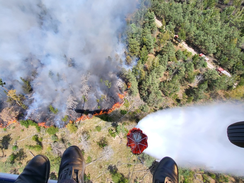 BPOLD 11: Erneuter Einsatz der Hubschrauber der Bundespolizei bei der Waldbrandbekämpfung in Sachsen und Thüringen - Foto: presseportal.de