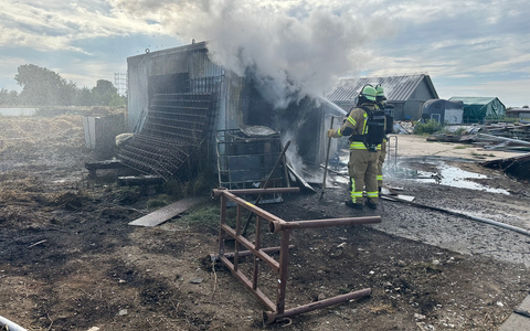 FW Weinheim: Containerbrand in der BohÀckersiedlung unterbricht Familienfest der Weinheimer Feuerwehr - Foto: presseportal.de FW Weinheim: Containerbrand in der BohÀckersiedlung unterbricht Familienfest der Weinheimer Feuerwehr - Foto: presseportal.de