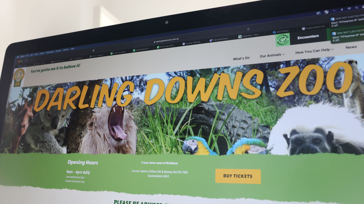 In dem Zoo leben verschiedene Raubkatzen, neben Löwen auch Leoparden und Geparden. - Foto: Rounak Amini/AAP/dpa