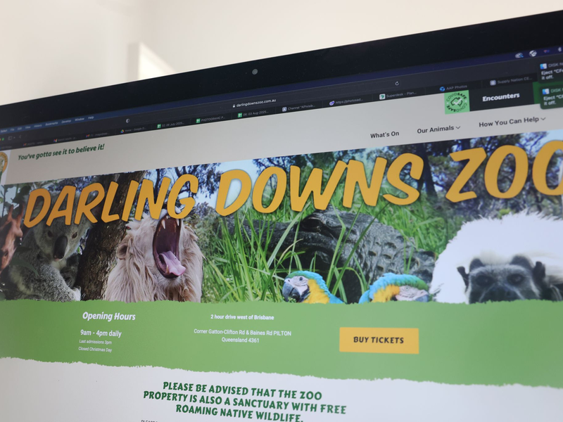 In dem Zoo leben verschiedene Raubkatzen, neben Löwen auch Leoparden und Geparden. - Foto: Rounak Amini/AAP/dpa