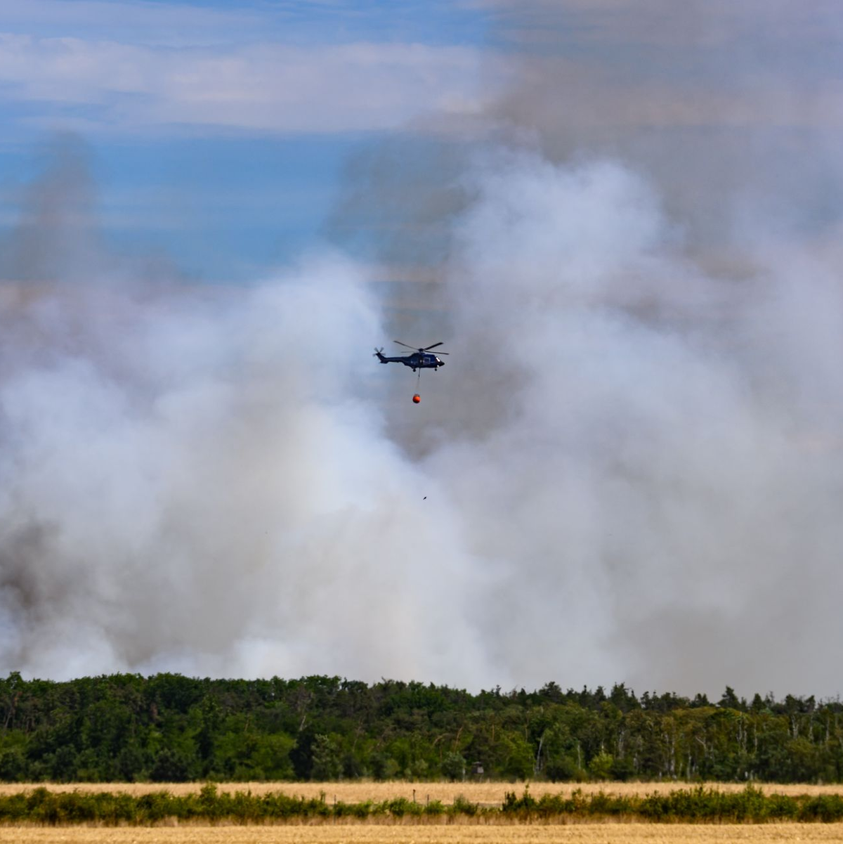 Derzeit versucht die Feuerwehr, ein Übergreifen der Flammen auf einen alten Sprengplatz bei Jacobsthal zu verhindern. - Foto: Robert Michael/dpa