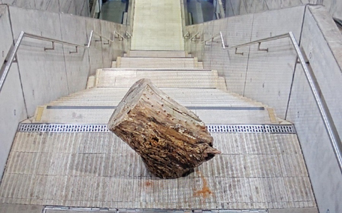 BPOLI L: Das ist kein dummer Jungen Streich mehr - Jugendliche werfen Teil eines Baumstammes in den S-Bahnhaltepunkt Wilhelm-Leuschner-Platz - Foto: presseportal.de