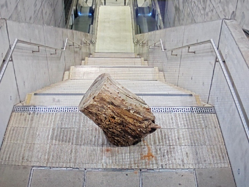 BPOLI L: Das ist kein dummer Jungen Streich mehr - Jugendliche werfen Teil eines Baumstammes in den S-Bahnhaltepunkt Wilhelm-Leuschner-Platz - Foto: presseportal.de