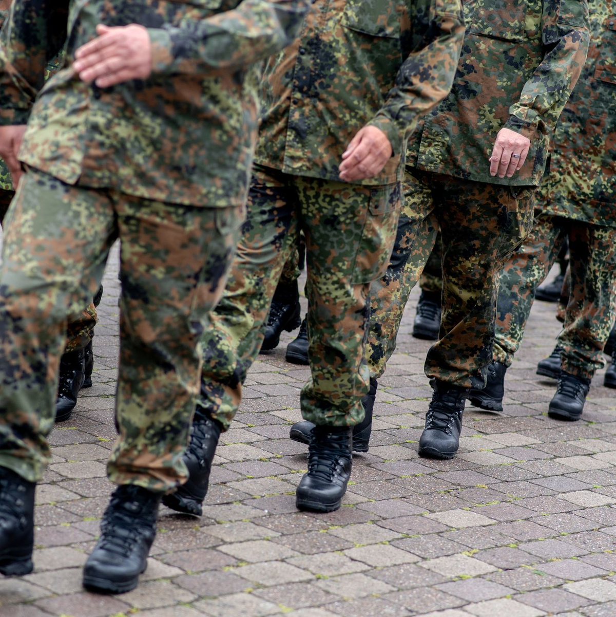 Reservistenappell mit Schwurbekräftigung - Foto: Hauke-Christian Dittrich/dpa