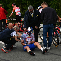 Tadej Pogacar und Jonas Vingegaard fuhren gemeinsam über die Ziellinie. - Foto: Loic Venance/AFP/dpa