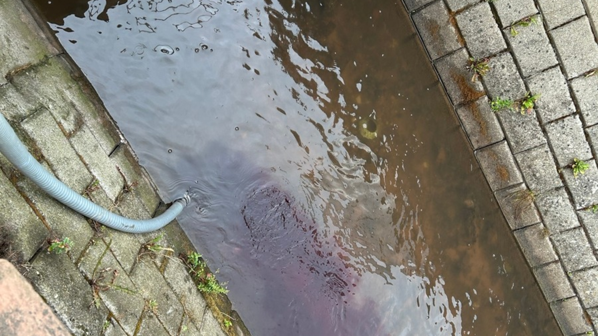 POL-PDLD: zu viel des guten Weines - Foto: presseportal.de