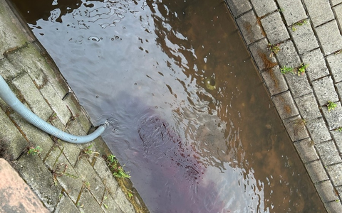 POL-PDLD: zu viel des guten Weines - Foto: presseportal.de