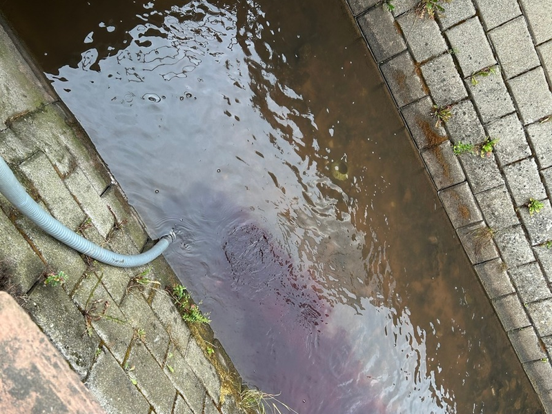 POL-PDLD: zu viel des guten Weines - Foto: presseportal.de