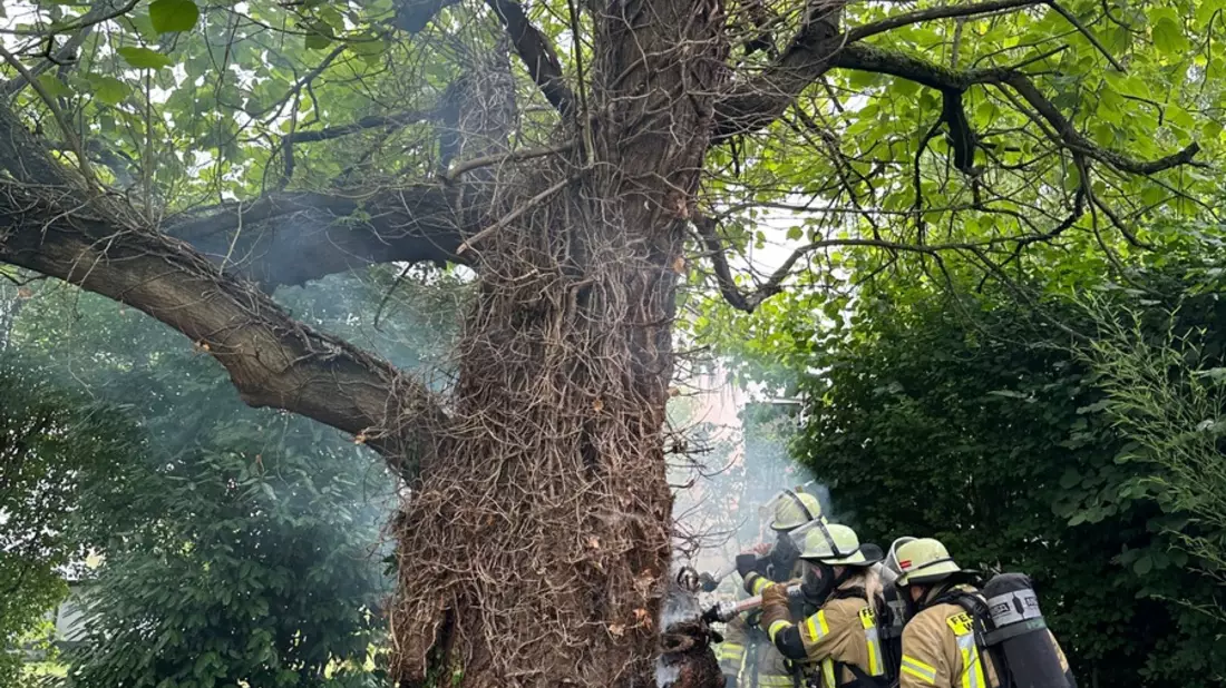 FW Weinheim: Baumbrand im Kastanienweg erfordert aufwendigen Löscheinsatz - Bild: presseportal.de