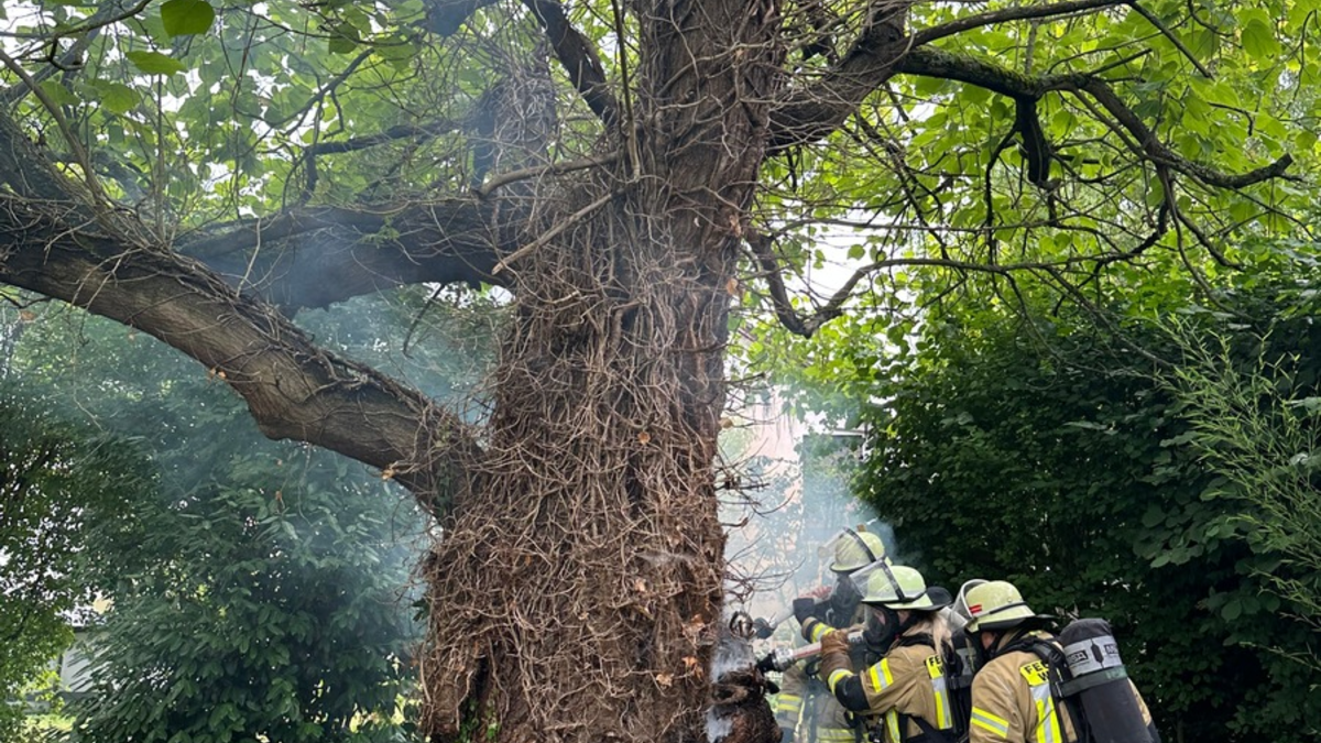 FW Weinheim: Baumbrand im Kastanienweg erfordert aufwendigen Löscheinsatz - Foto: presseportal.de