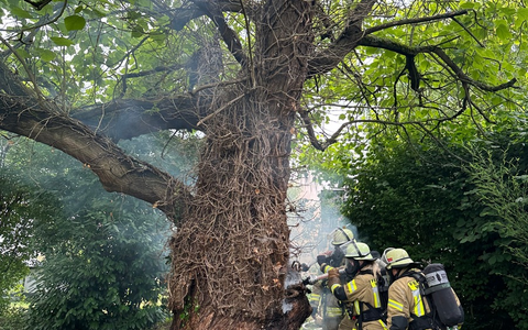 FW Weinheim: Baumbrand im Kastanienweg erfordert aufwendigen Löscheinsatz - Foto: presseportal.de