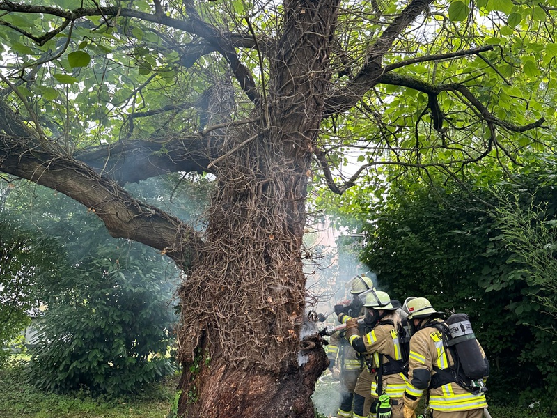 FW Weinheim: Baumbrand im Kastanienweg erfordert aufwendigen Löscheinsatz - Foto: presseportal.de