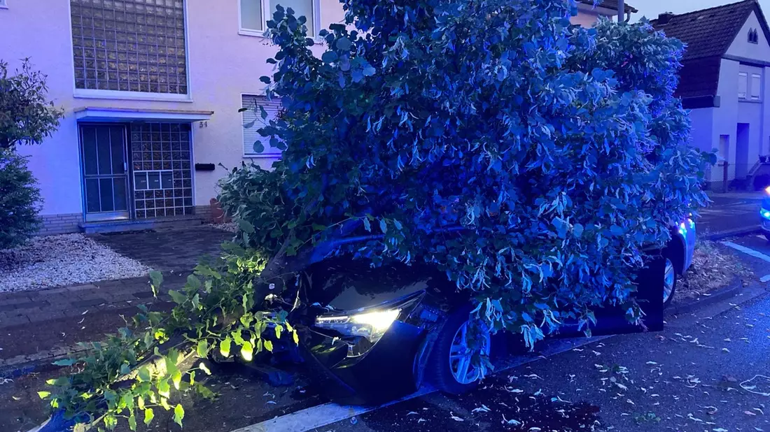 POL-RBK: Bergisch Gladbach - Nach Sekundenschlaf gegen Baum gefahren - Bild: presseportal.de