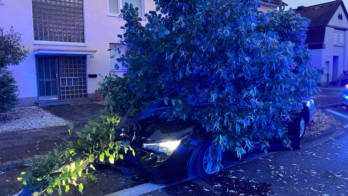 POL-RBK: Bergisch Gladbach - Nach Sekundenschlaf gegen Baum gefahren - Foto: presseportal.de
