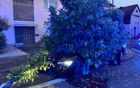 POL-RBK: Bergisch Gladbach - Nach Sekundenschlaf gegen Baum gefahren - Foto: presseportal.de