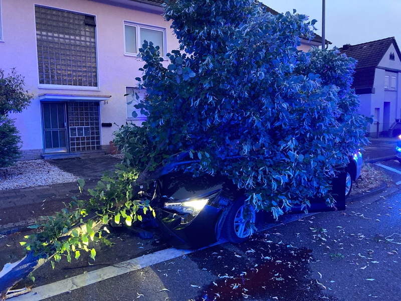 POL-RBK: Bergisch Gladbach - Nach Sekundenschlaf gegen Baum gefahren - Foto: presseportal.de