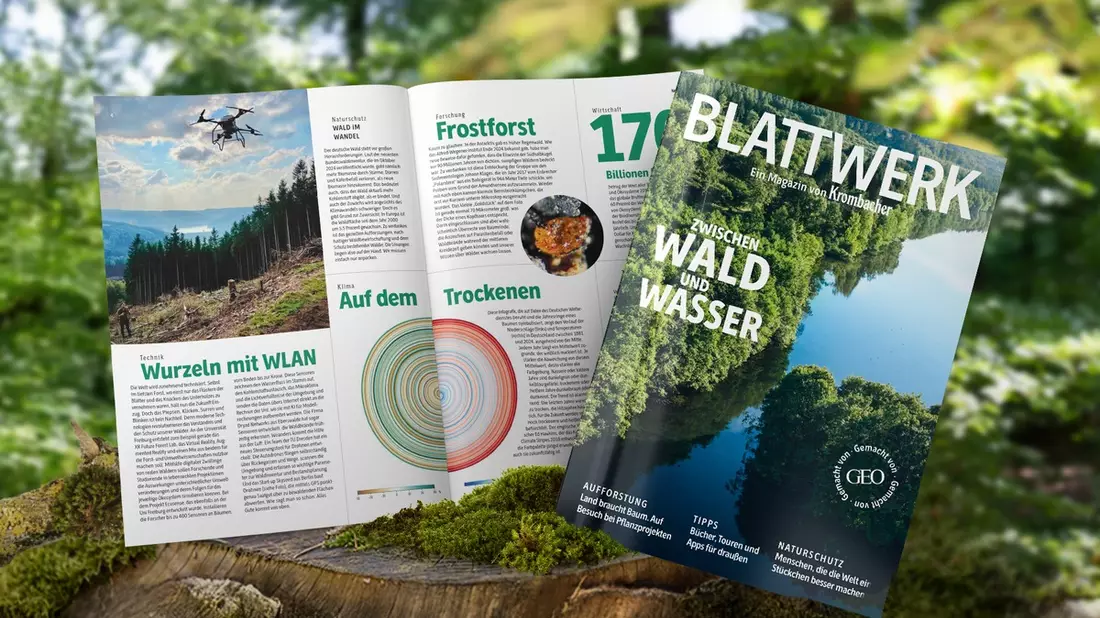 Wald im Fokus: Krombacher veröffentlicht neue Ausgabe des Magazins Blattwerk in Kooperation mit GEO - Bild: presseportal.de