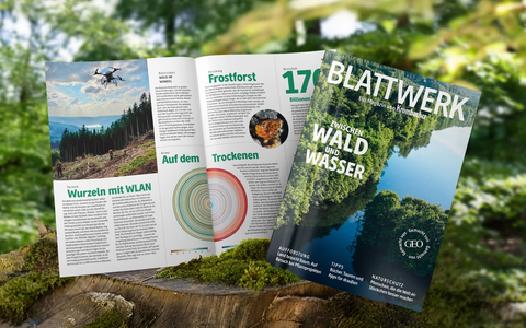 Wald im Fokus: Krombacher veröffentlicht neue Ausgabe des Magazins Blattwerk in Kooperation mit GEO - Foto: presseportal.de